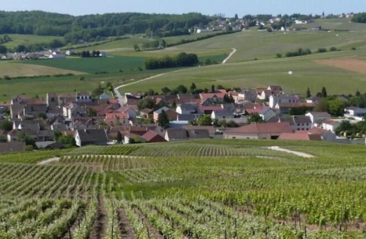 La Longere De Vin'Ay Leilighet Vinay  Eksteriør bilde
