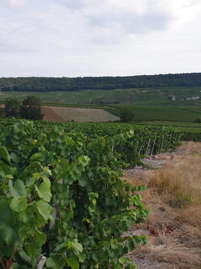 La Longere De Vin'Ay Leilighet Vinay  Eksteriør bilde
